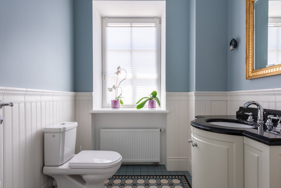 Toilet Repair & Installation in Federal Way, WA - The Federal Way Plumber